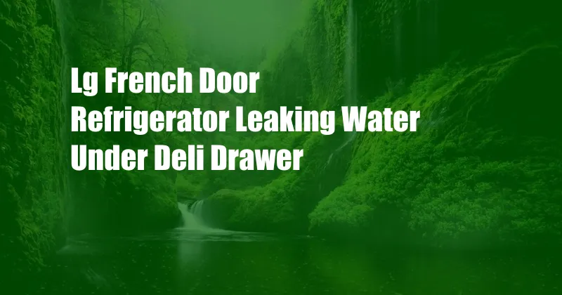 Lg French Door Refrigerator Leaking Water Under Deli Drawer