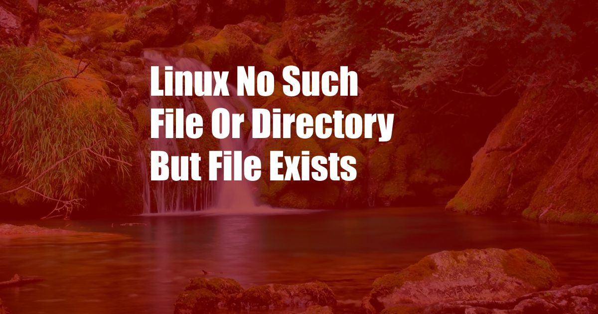 Linux No Such File Or Directory But File Exists