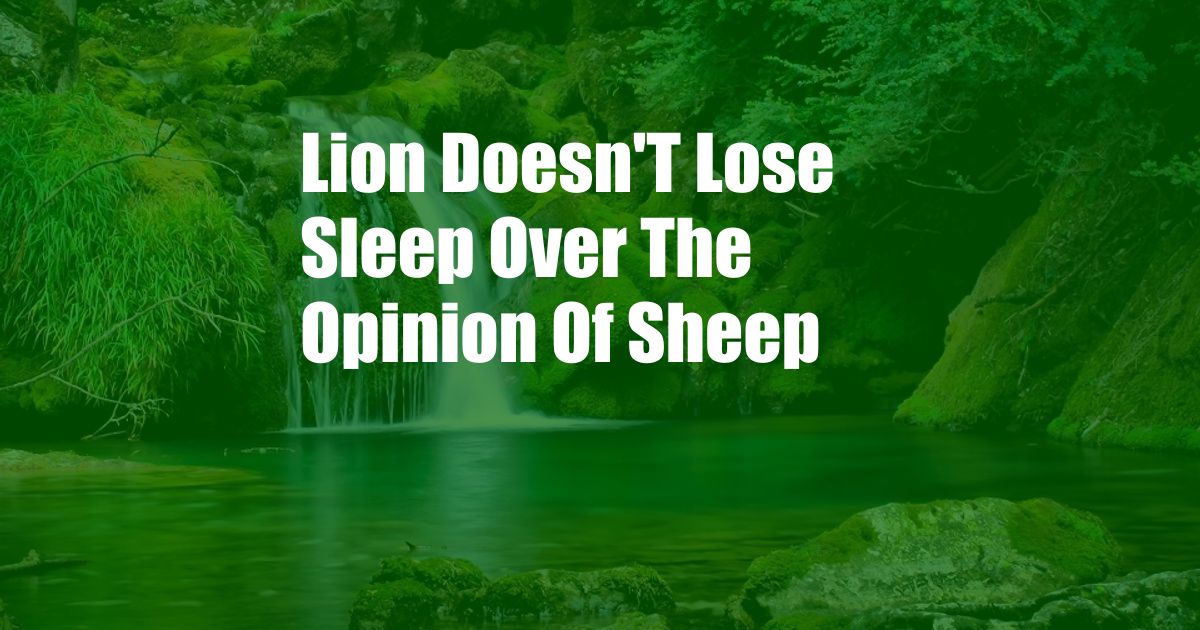 Lion Doesn'T Lose Sleep Over The Opinion Of Sheep