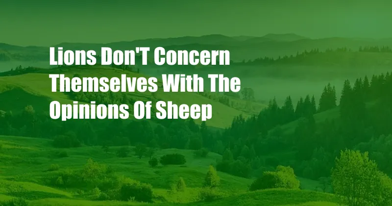Lions Don'T Concern Themselves With The Opinions Of Sheep