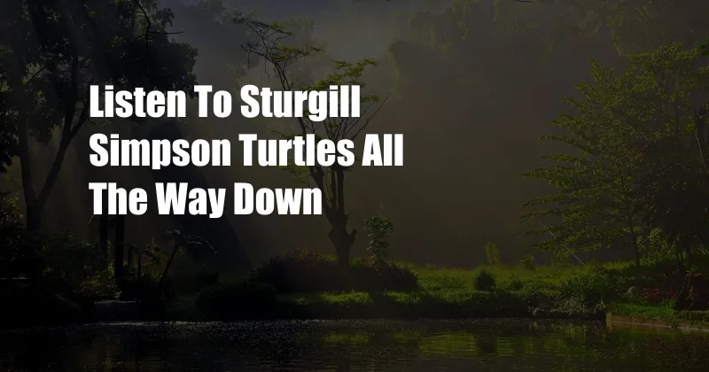 Listen To Sturgill Simpson Turtles All The Way Down