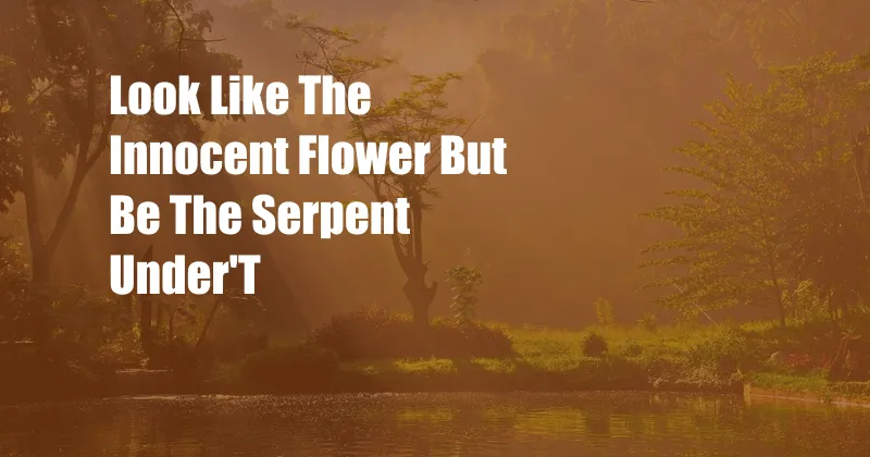 Look Like The Innocent Flower But Be The Serpent Under'T