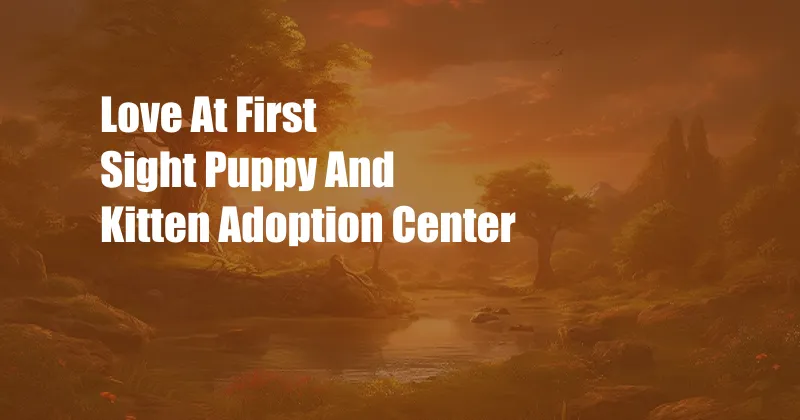 Love At First Sight Puppy And Kitten Adoption Center