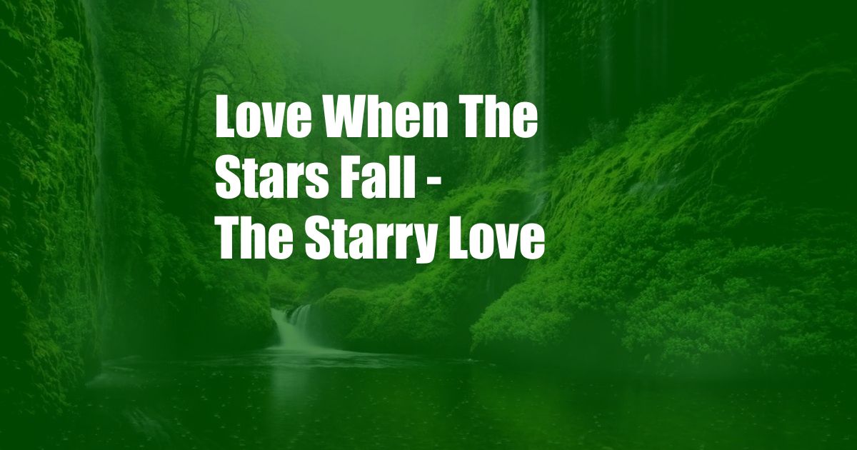 Love When The Stars Fall - The Starry Love