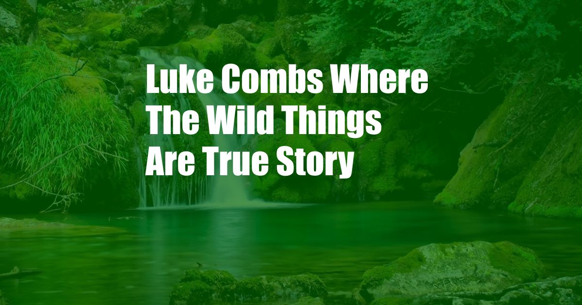 Luke Combs Where The Wild Things Are True Story