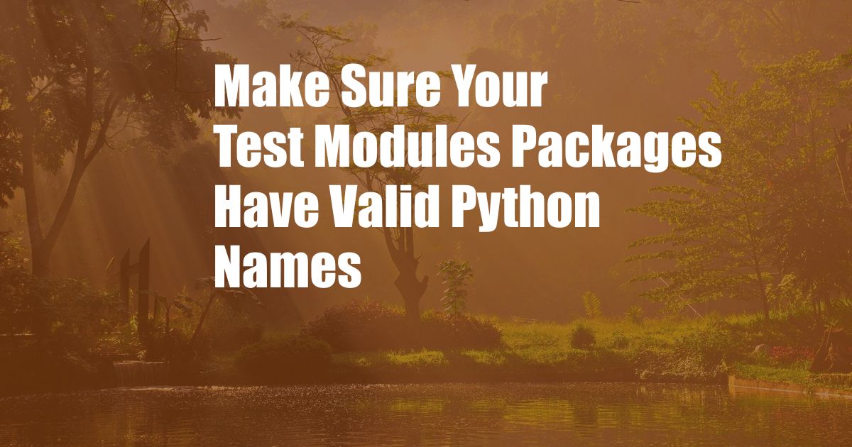 Make Sure Your Test Modules Packages Have Valid Python Names