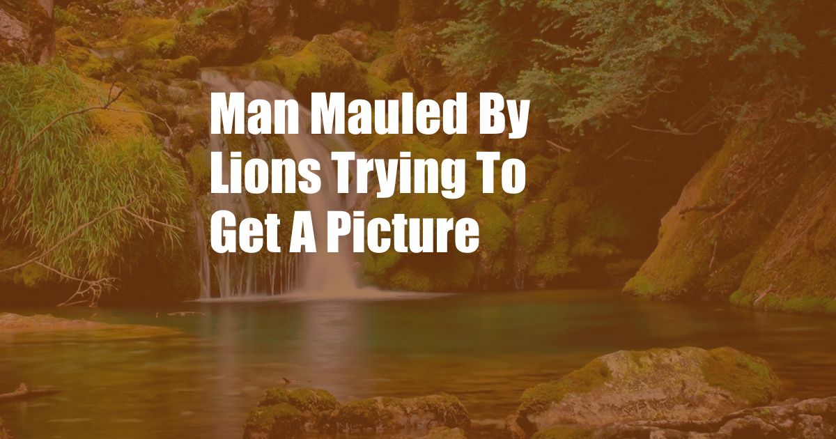 Man Mauled By Lions Trying To Get A Picture