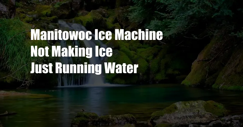 Manitowoc Ice Machine Not Making Ice Just Running Water