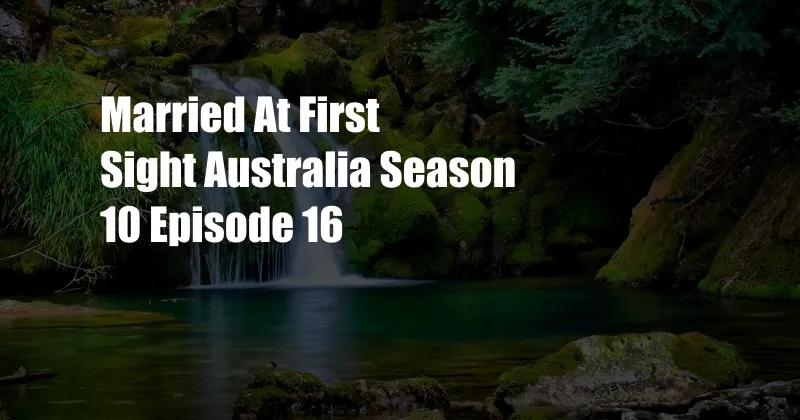 Married At First Sight Australia Season 10 Episode 16