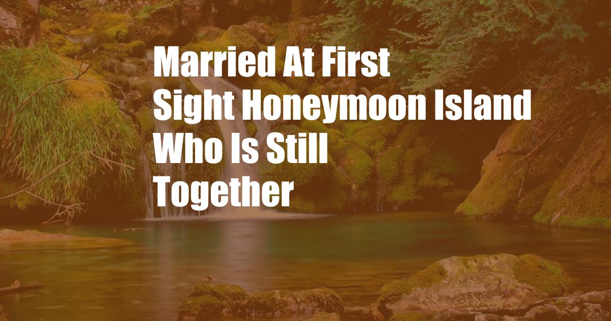 Married At First Sight Honeymoon Island Who Is Still Together