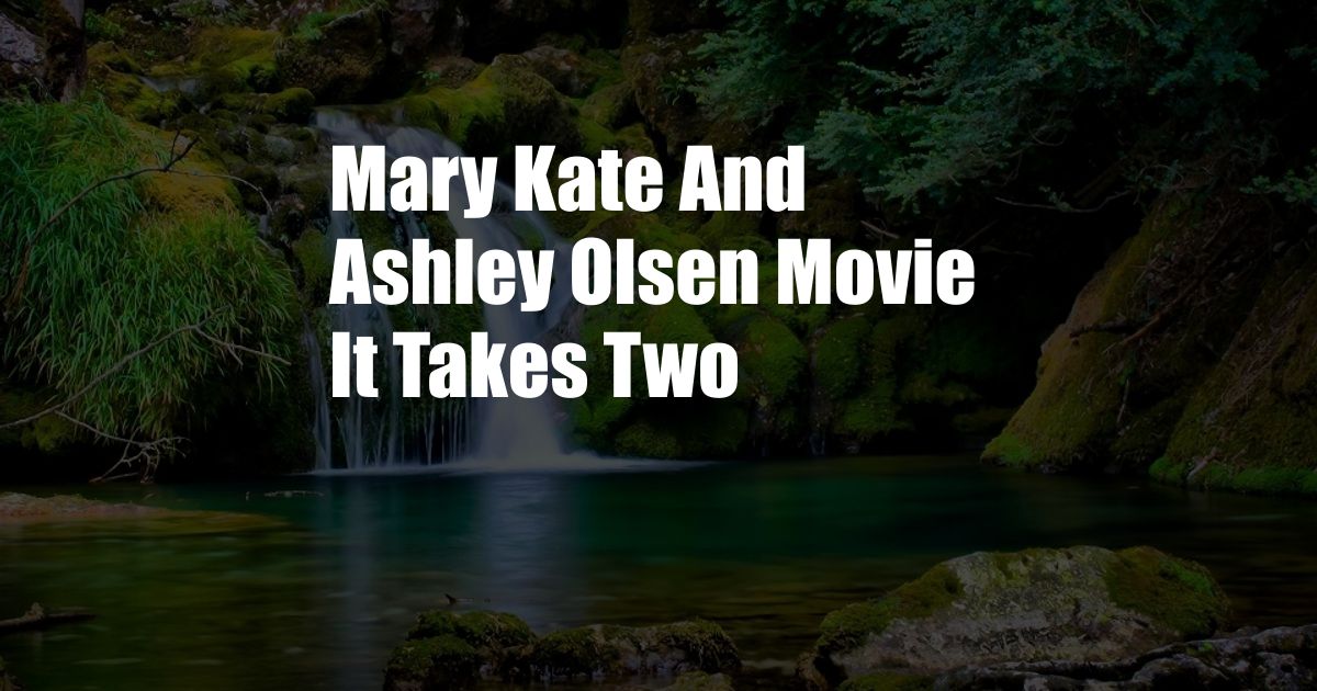 Mary Kate And Ashley Olsen Movie It Takes Two