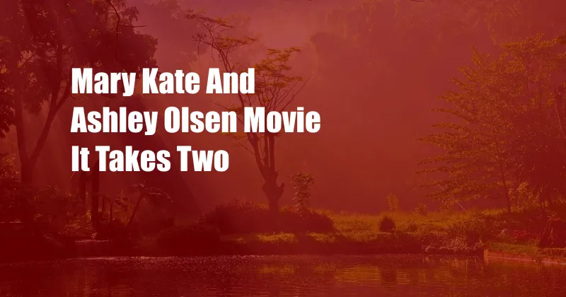 Mary Kate And Ashley Olsen Movie It Takes Two