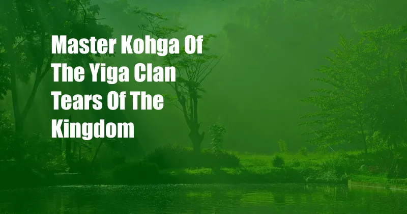 Master Kohga Of The Yiga Clan Tears Of The Kingdom