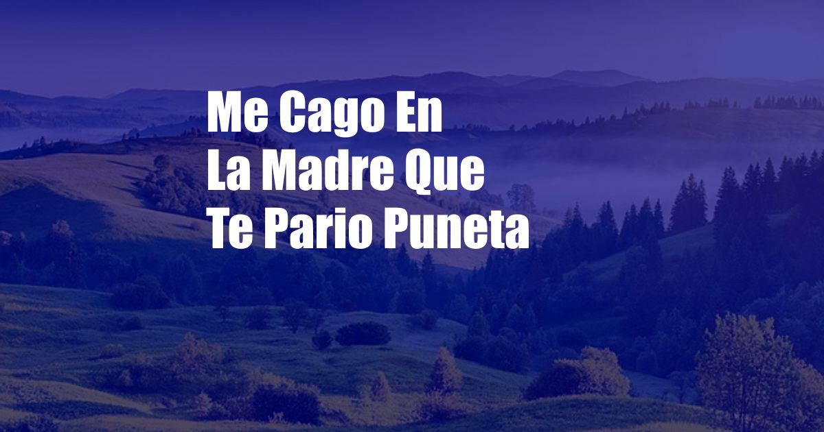 Me Cago En La Madre Que Te Pario Puneta