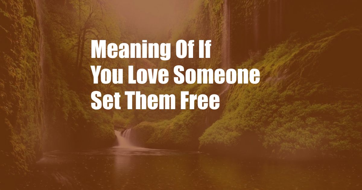 Meaning Of If You Love Someone Set Them Free