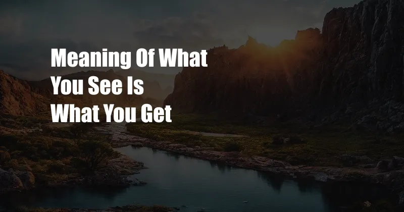 Meaning Of What You See Is What You Get