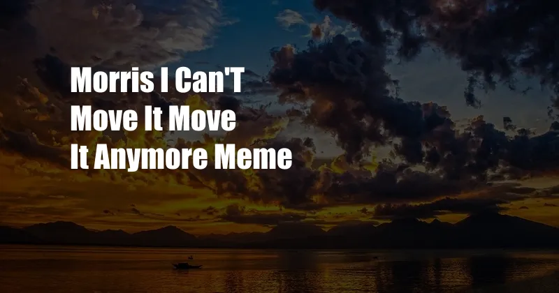 Morris I Can'T Move It Move It Anymore Meme