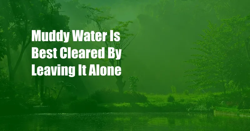 Muddy Water Is Best Cleared By Leaving It Alone