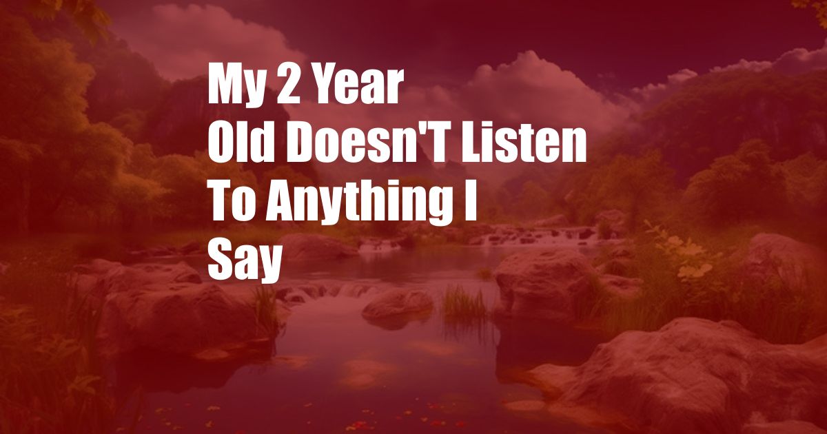 My 2 Year Old Doesn'T Listen To Anything I Say