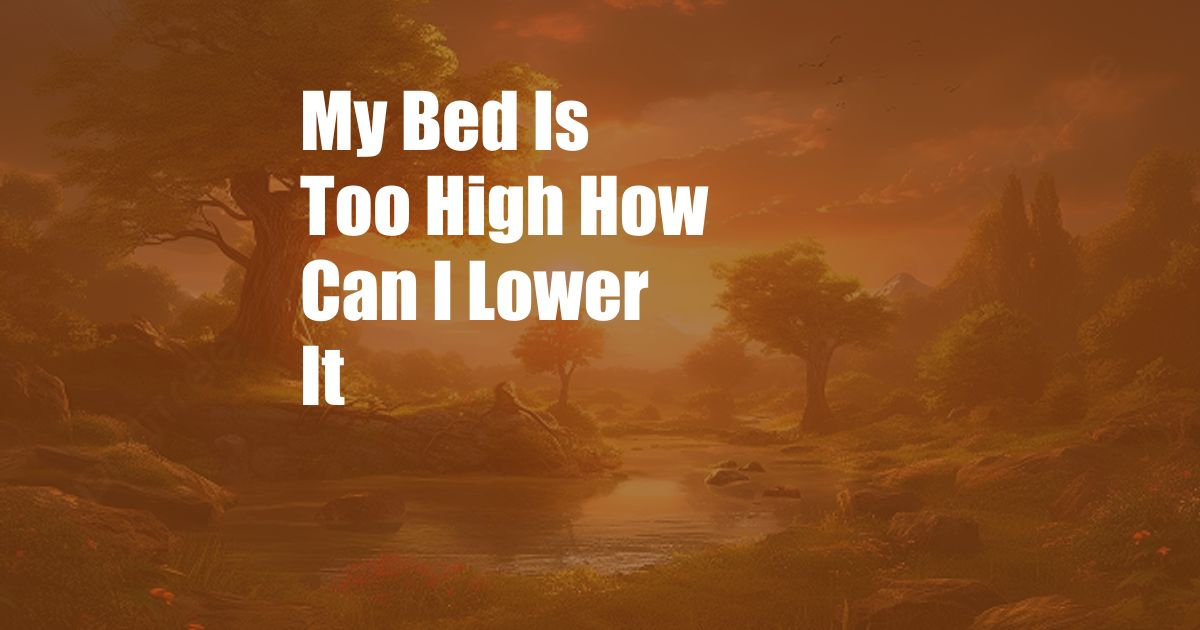 My Bed Is Too High How Can I Lower It