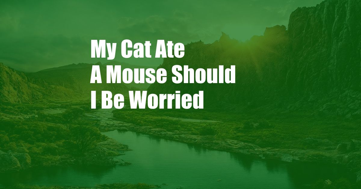 My Cat Ate A Mouse Should I Be Worried