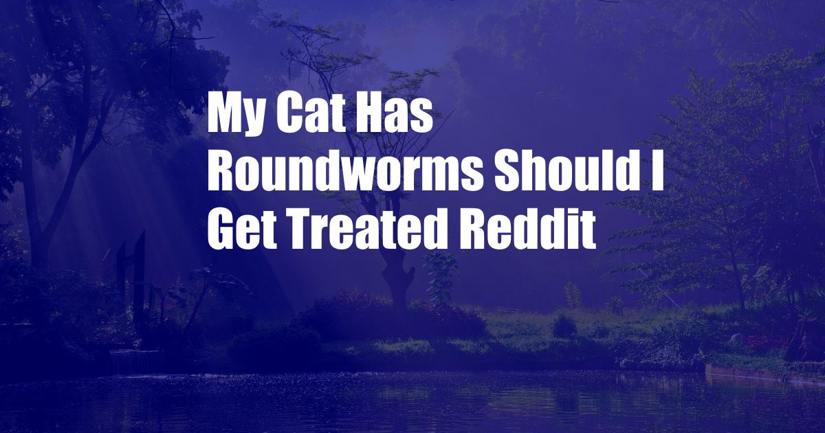 My Cat Has Roundworms Should I Get Treated Reddit