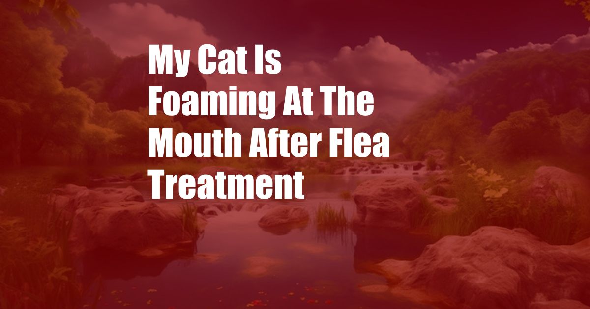 My Cat Is Foaming At The Mouth After Flea Treatment