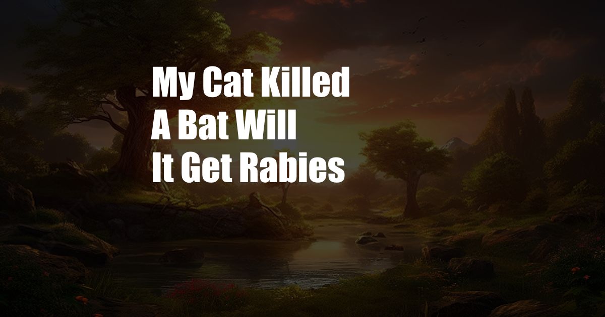 My Cat Killed A Bat Will It Get Rabies