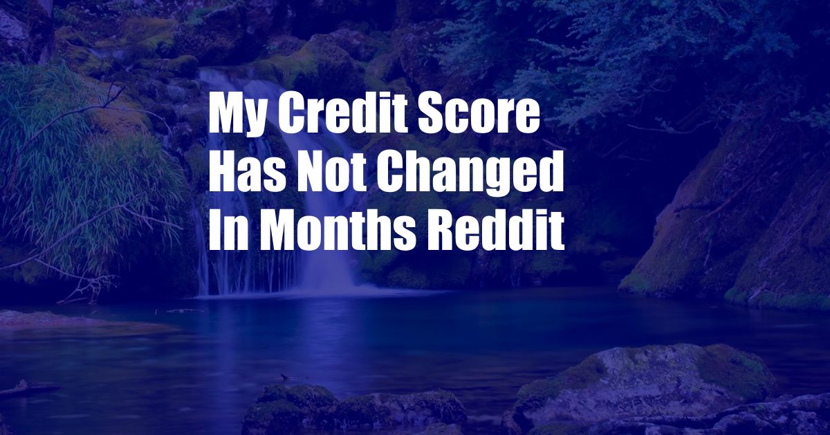 My Credit Score Has Not Changed In Months Reddit