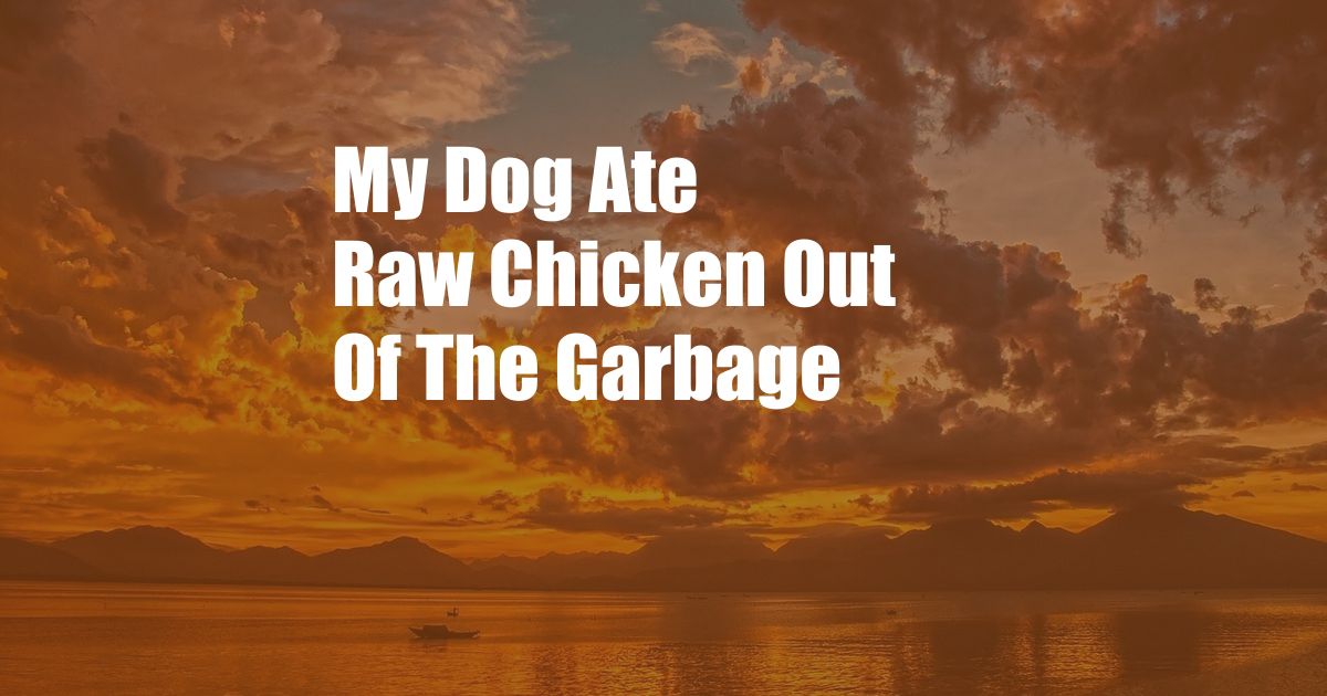 My Dog Ate Raw Chicken Out Of The Garbage