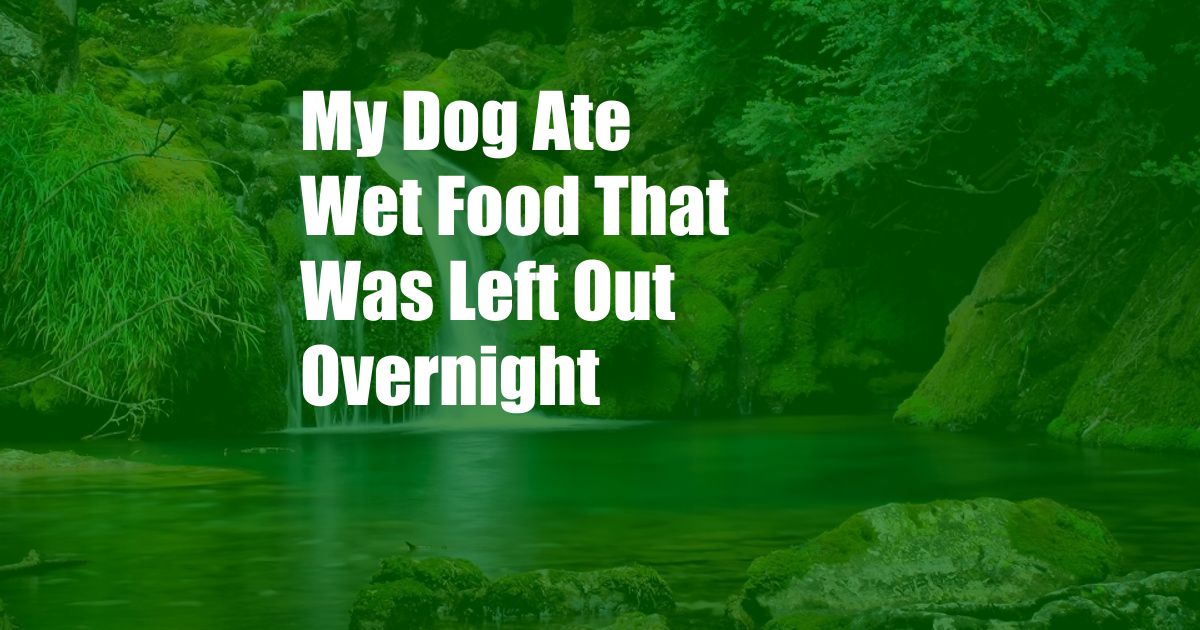 My Dog Ate Wet Food That Was Left Out Overnight