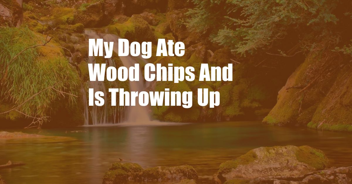 My Dog Ate Wood Chips And Is Throwing Up