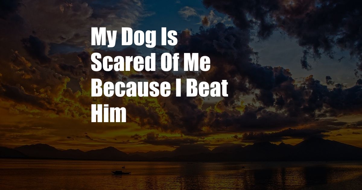 My Dog Is Scared Of Me Because I Beat Him
