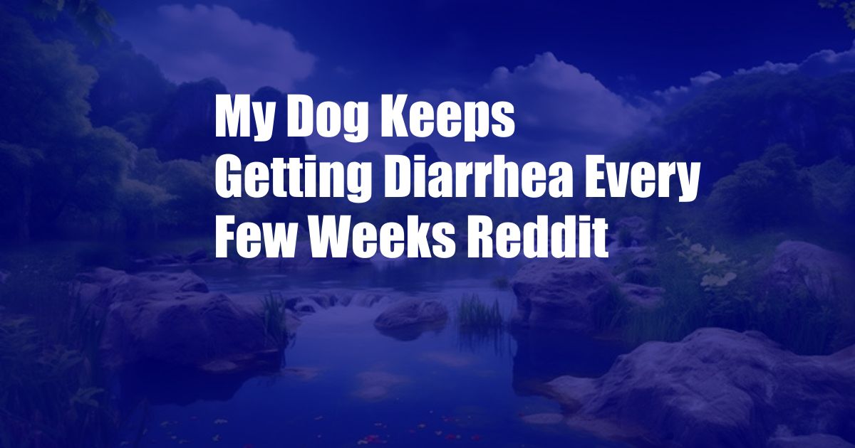 My Dog Keeps Getting Diarrhea Every Few Weeks Reddit
