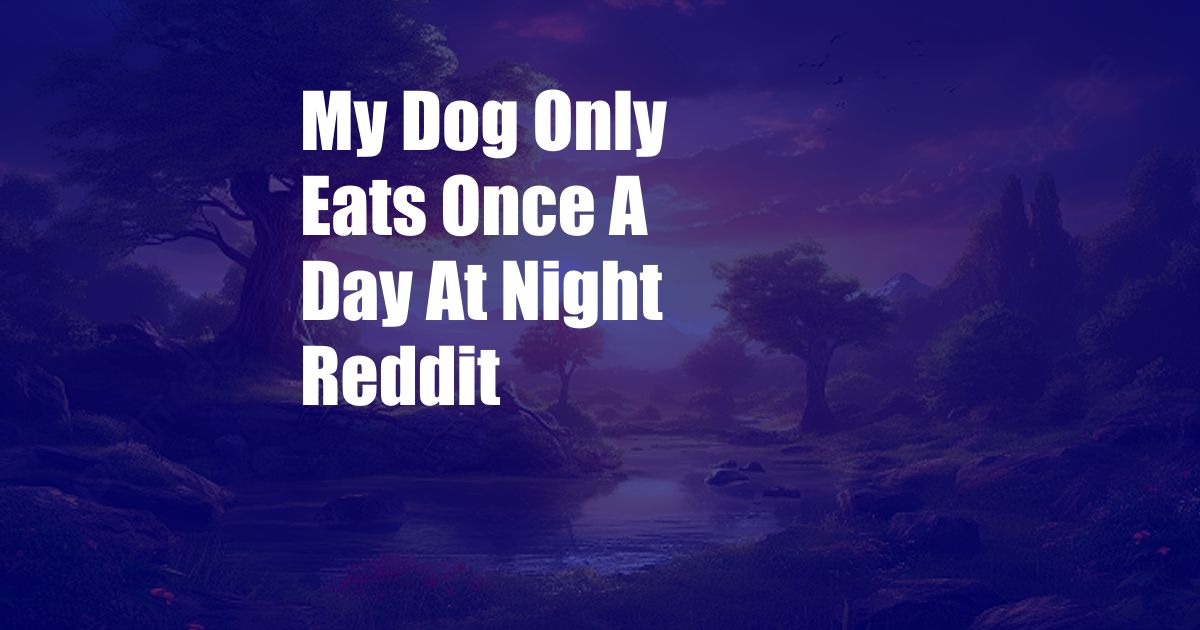 My Dog Only Eats Once A Day At Night Reddit