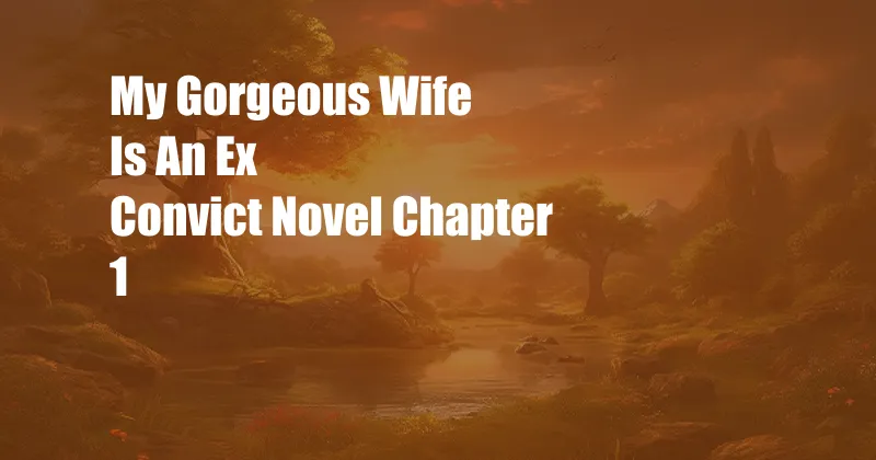 My Gorgeous Wife Is An Ex Convict Novel Chapter 1