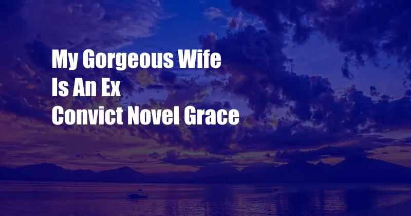 My Gorgeous Wife Is An Ex Convict Novel Grace