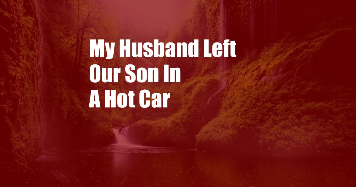 My Husband Left Our Son In A Hot Car