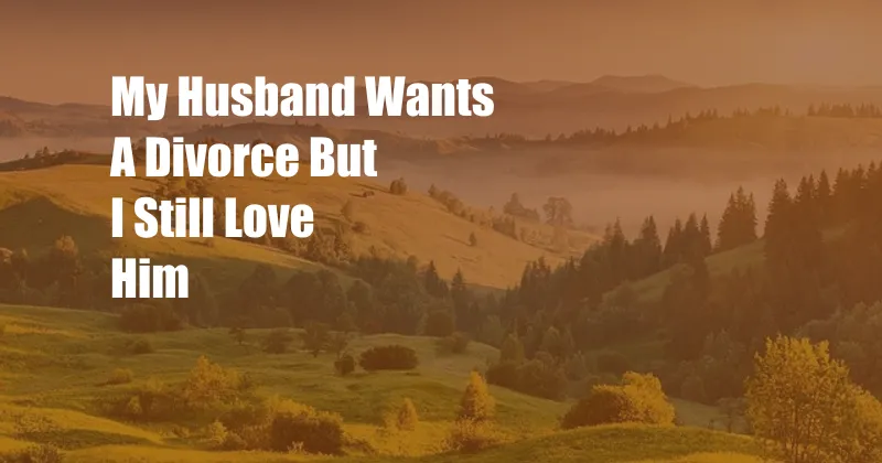 My Husband Wants A Divorce But I Still Love Him