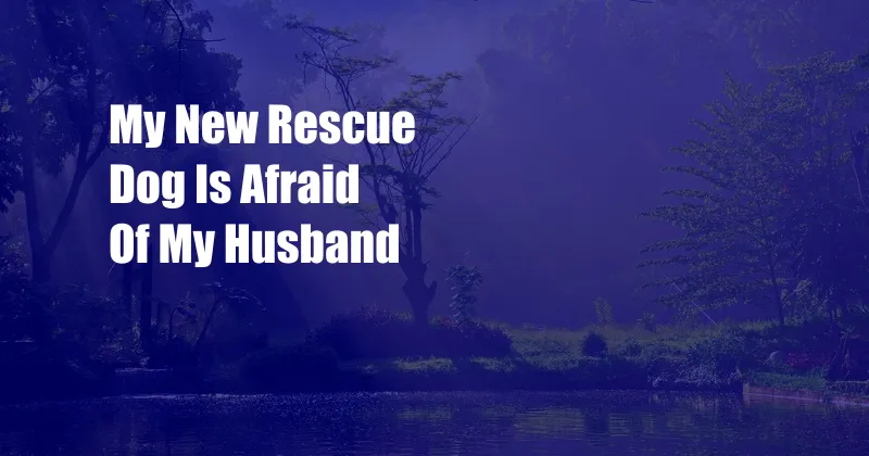 My New Rescue Dog Is Afraid Of My Husband