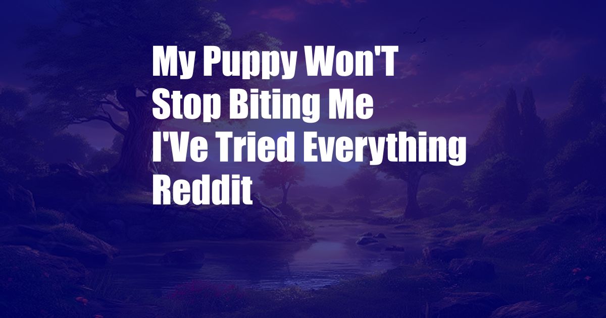 My Puppy Won'T Stop Biting Me I'Ve Tried Everything Reddit