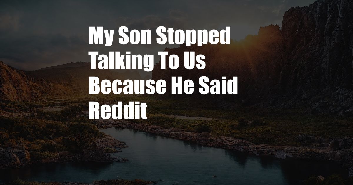 My Son Stopped Talking To Us Because He Said Reddit