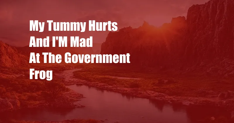 My Tummy Hurts And I'M Mad At The Government Frog