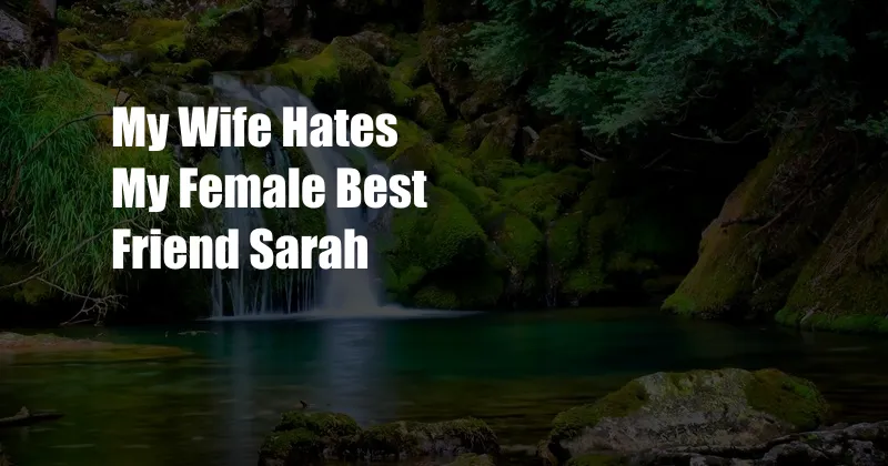 My Wife Hates My Female Best Friend Sarah 