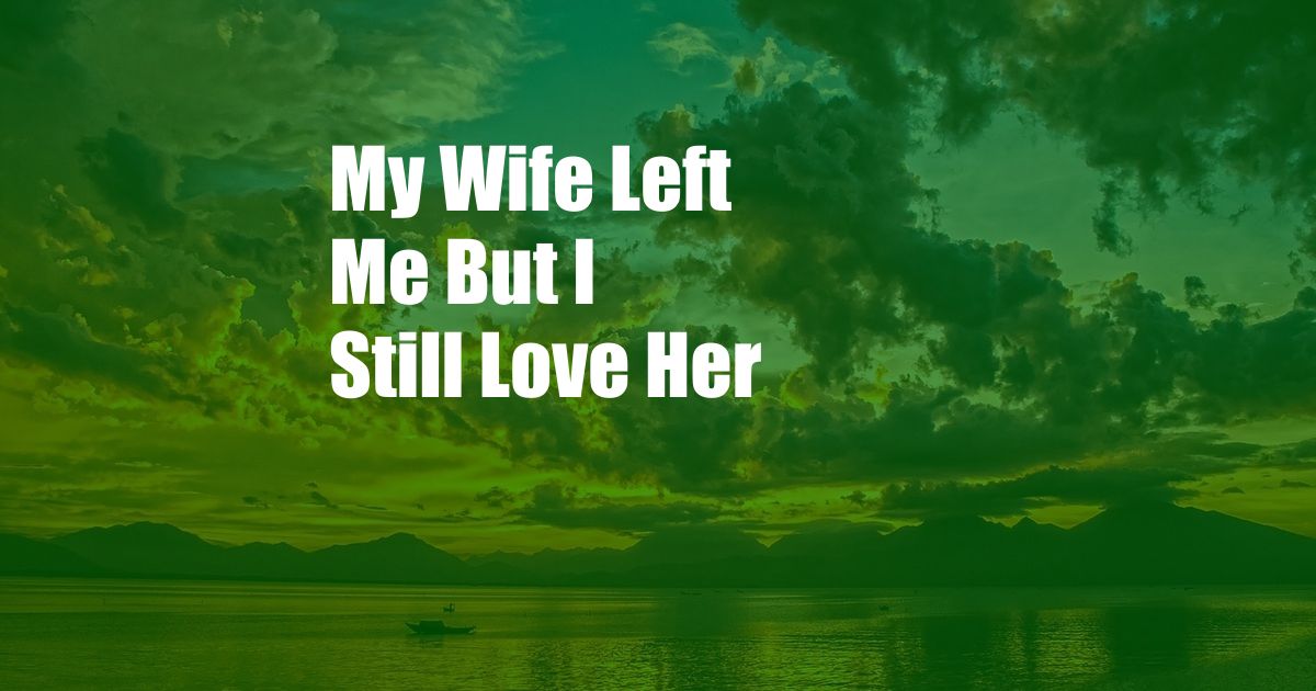 My Wife Left Me But I Still Love Her