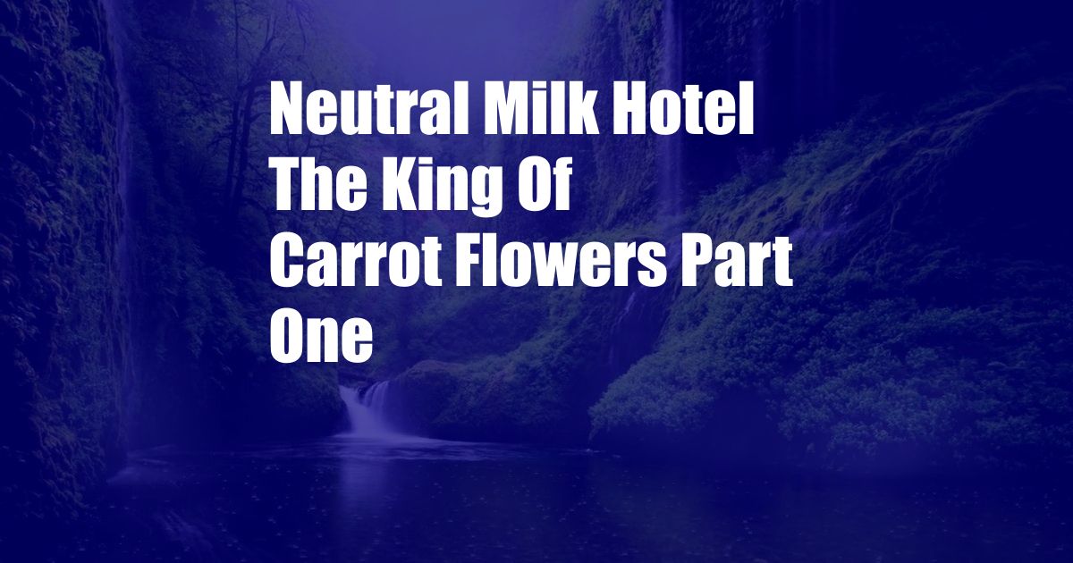 Neutral Milk Hotel The King Of Carrot Flowers Part One