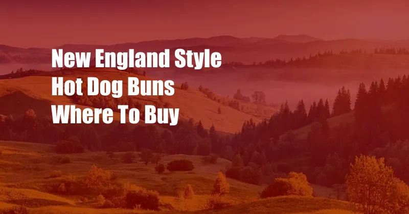 New England Style Hot Dog Buns Where To Buy