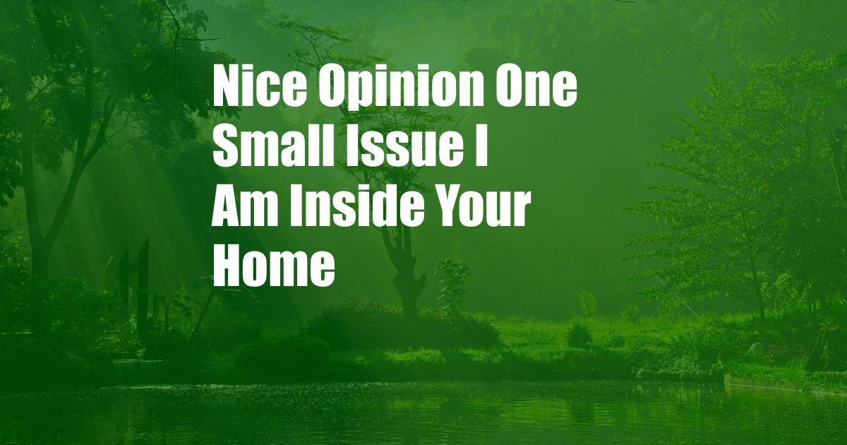 Nice Opinion One Small Issue I Am Inside Your Home