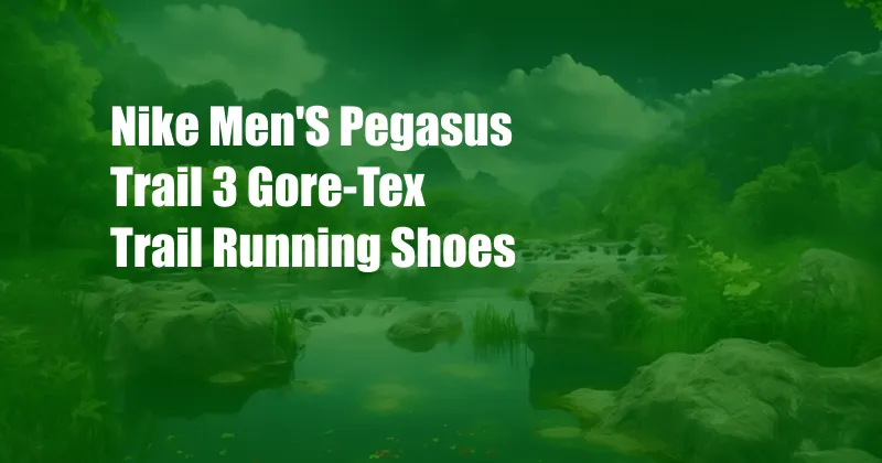 Nike Men'S Pegasus Trail 3 Gore-Tex Trail Running Shoes