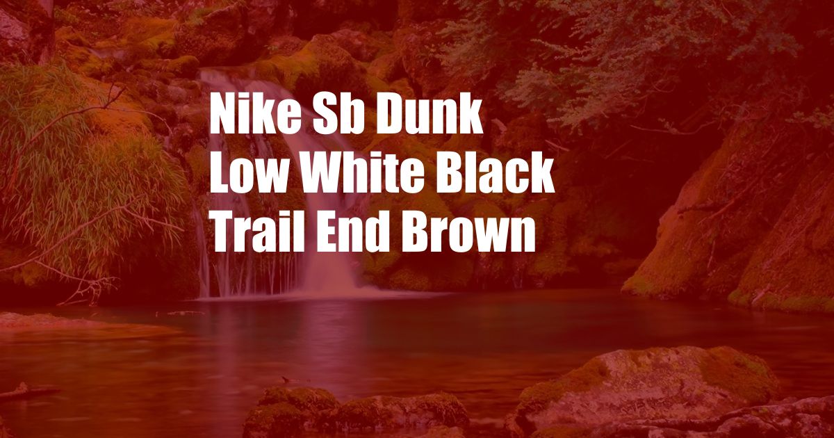 Nike Sb Dunk Low White Black Trail End Brown